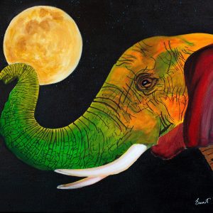 ELEFANTE DE COLORES